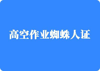在线鸡巴精品高空作业蜘蛛人证